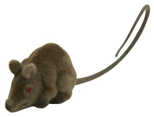 Maus ratte braun fliska - maus,