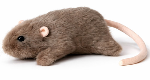 Kuscheltier maus ratte braun - ratte,