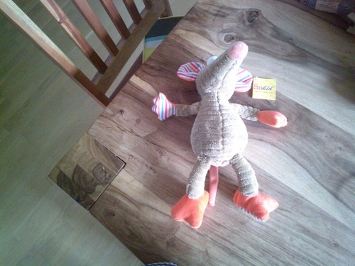 Sunkid ratte maus orange - orange, /