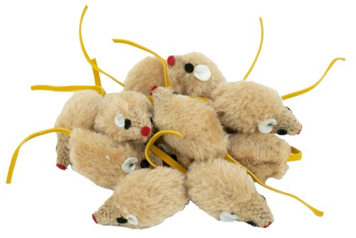 Spielmaus mit katzenminze und - mit,