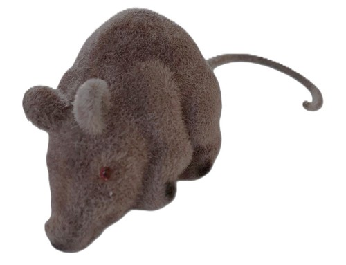 Maus braun 13 - 1,