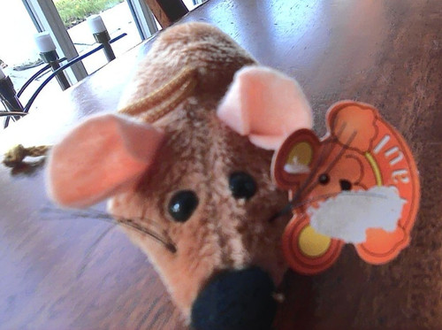 Paul import kleine - import, maus